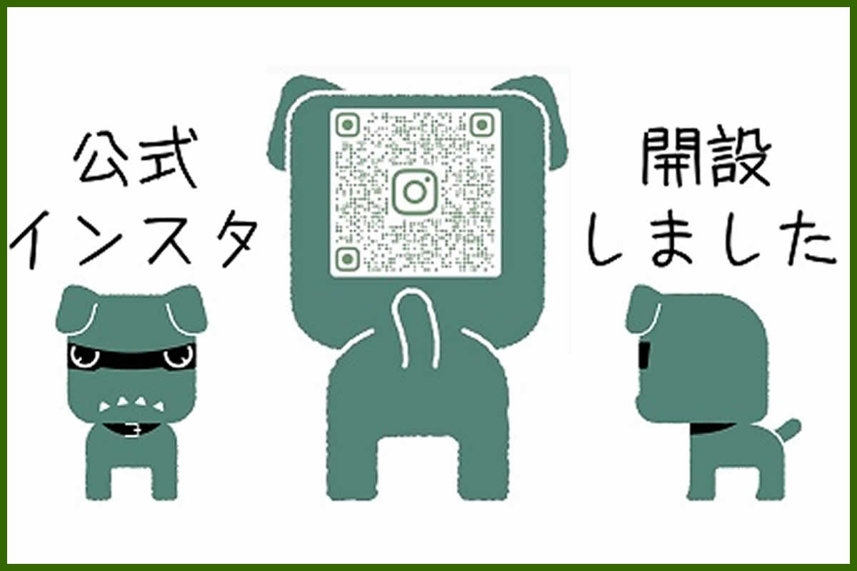 公式インスタ